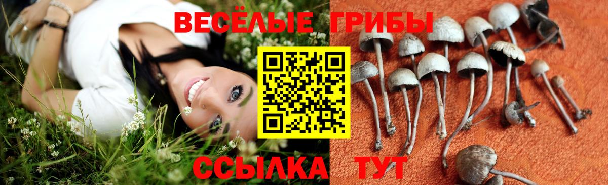 Нефтеюганск  Псилоцибиновые грибы MAGIC MUSHROOMS  Вход с VPN 